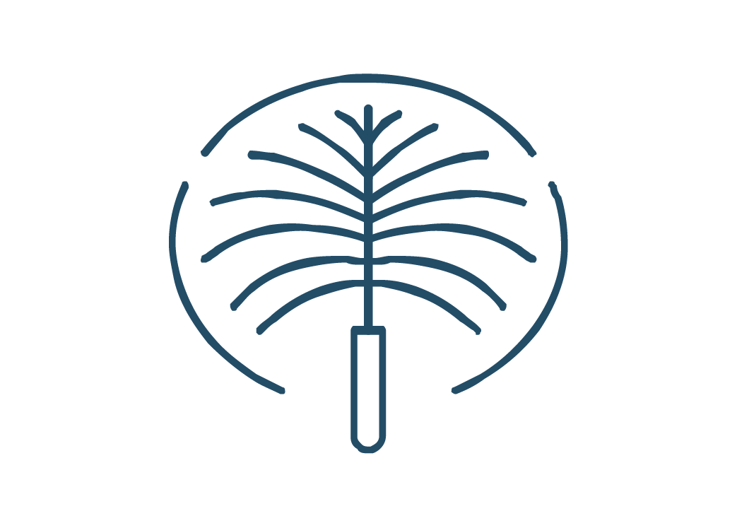 Palm